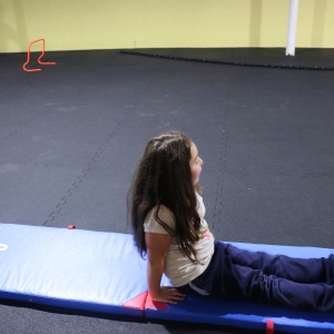 Día de la Actividad Física